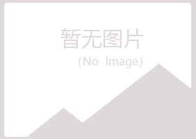 金山屯区听枫服务有限公司